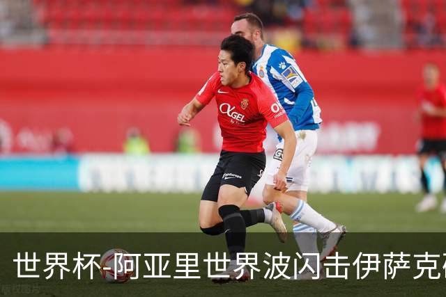 世界杯-阿亚里世界波闪击伊萨克破门 半场瑞典2-1突尼斯